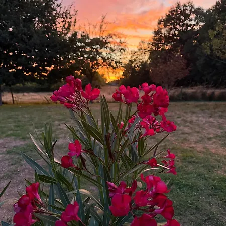 Chez Pere Thomas Pour 2-3 Pers